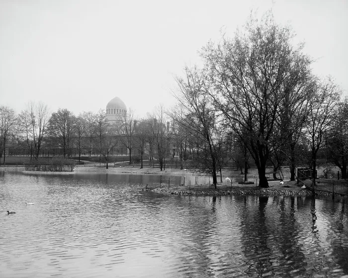 Framed Print : The Lake, zoo, Cincinnati, Ohio, between 1900 and 1910. Creator: Unknown Framed Print : The Lake, zoo, Cincinnati, Ohio, between 1900 and 1910. Creator: Unknown
