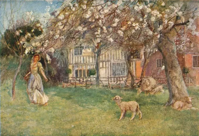 Framed Print : Lambs, c1904. Artist: Herbert Alexander Collins Framed Print : Lambs, c1904. Artist: Herbert Alexander Collins