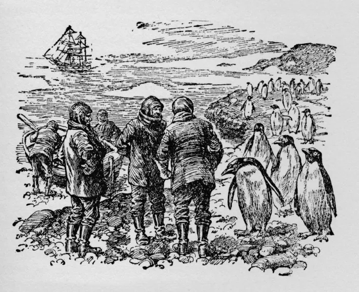 Framed Print : Landed on a small island inhabited by myriads of penguins, c1918 Framed Print : Landed on a small island inhabited by myriads of penguins, c1918
