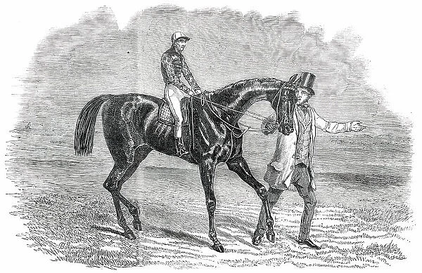 Landgrave, Winner of the Cambridgeshire Stakes at Newmarket, 1850. Creator: Unknown