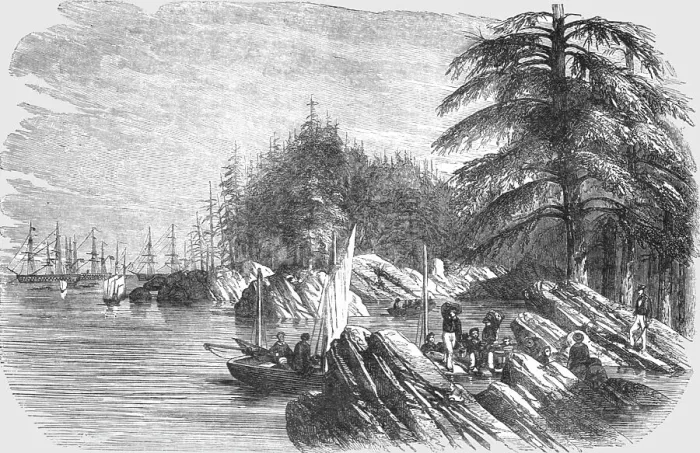 Framed Print : Landing of the French Troops at the Island of Trescos-- one of the Aland Group, 1854. Creator: Unknown Framed Print : Landing of the French Troops at the Island of Trescos-- one of the Aland Group, 1854. Creator: Unknown