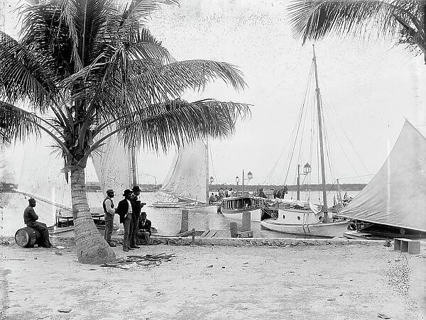 Landing at Palm Beach, between 1880 and 1897. Creator: William H. Jackson