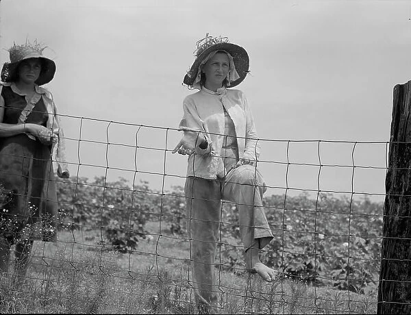The landowner's daughter hoes cotton on a south Georgia farm, 1937. Creator: Dorothea Lange