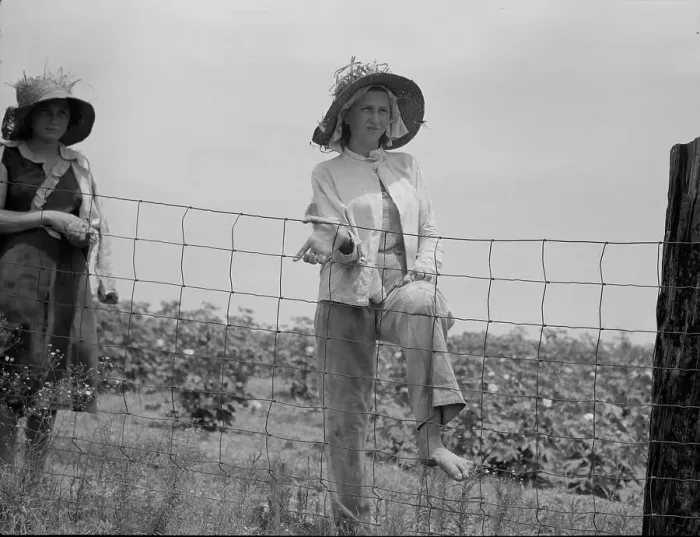 Framed Print : The landowner's daughter hoes cotton on a south Georgia farm, 1937. Creator: Dorothea Lange Framed Print : The landowner's daughter hoes cotton on a south Georgia farm, 1937. Creator: Dorothea Lange