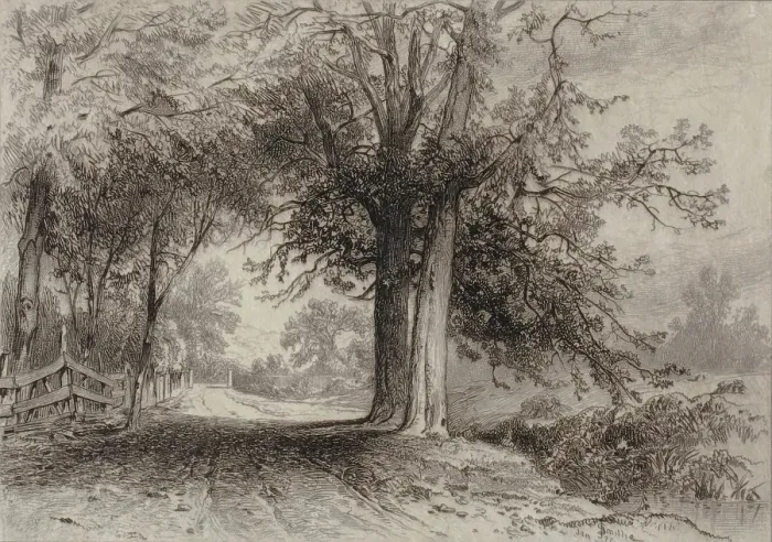 Framed Print : Landscape, 1877. Creator: James David Smillie Framed Print : Landscape, 1877. Creator: James David Smillie