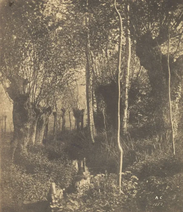 Framed Print : [Landscape, Arras], 1852. Creator: Adalbert Cuvelier