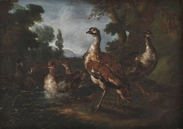 Landscape with Birds, 1665-1730. Creator: Angelo Maria Crivelli