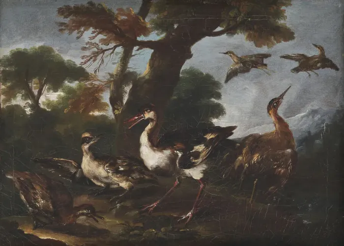 Framed Print : Landscape with Birds, 1665-1730. Creator: Angelo Maria Crivelli Framed Print : Landscape with Birds, 1665-1730. Creator: Angelo Maria Crivelli