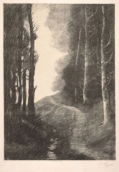 Landscape at Bouleaux. Creator: Alphonse Legros (French, 1837-1911)