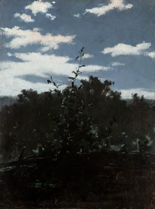 Framed Print : Landscape with a Brushwood Fence, c1880. Creator: Witold Pruszkowski Framed Print : Landscape with a Brushwood Fence, c1880. Creator: Witold Pruszkowski
