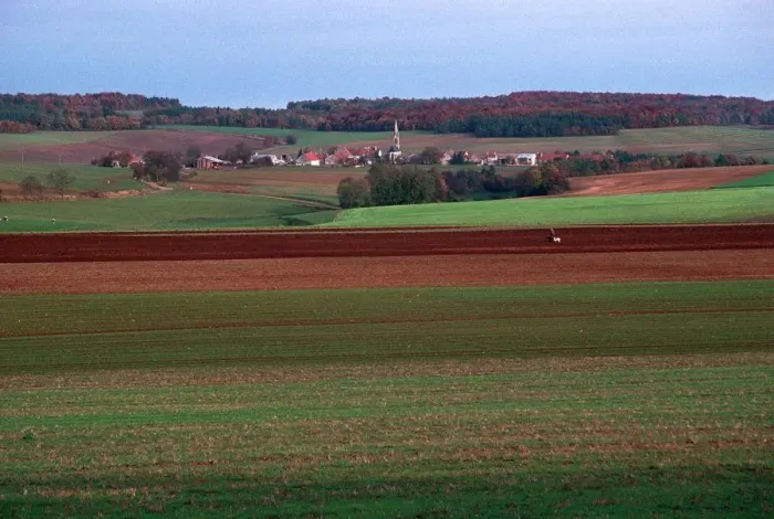 Framed Print : Landscape in Burgundy Framed Print : Landscape in Burgundy