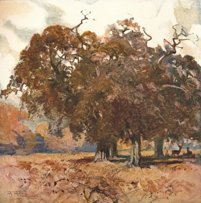 Framed Print : Landscape, c1904. Artist: Albert Henry Fullwood Framed Print : Landscape, c1904. Artist: Albert Henry Fullwood