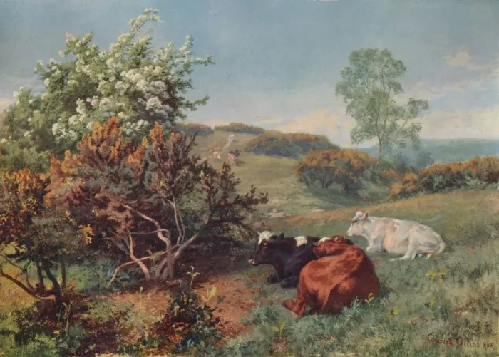 Framed Print : Landscape with Cattle (In the Nower, Dorking), c1899. Artist: Charles Collins Framed Print : Landscape with Cattle (In the Nower, Dorking), c1899. Artist: Charles Collins