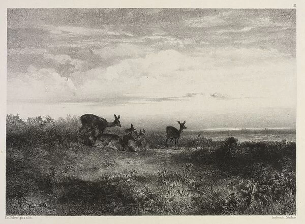 Landscape with Deer, c. 1840. Creator: Karl Bodmer (Swiss, 1809-1893)