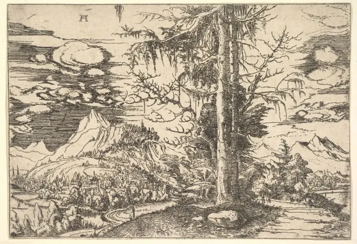 Framed Print : Landscape with a Double Spruce, ca. 1521-22. Creator: Albrecht Altdorfer Framed Print : Landscape with a Double Spruce, ca. 1521-22. Creator: Albrecht Altdorfer