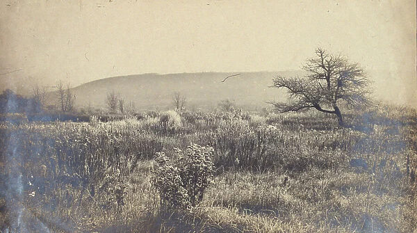 Landscape of a field with hill in background, c1900. Creator: Unknown