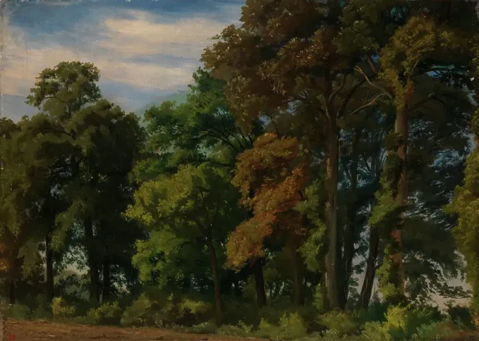 Framed Print : Landscape in Germany, Study, 1854. Creator: Werner Holmberg Framed Print : Landscape in Germany, Study, 1854. Creator: Werner Holmberg