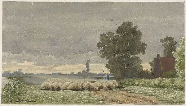 Landscape with herd of sheep, 1857-1884. Creator: Cornelis Willem Hoevenaar