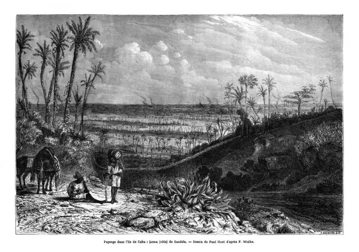 Framed Print : Landscape in the island of Cuba, 1859. Artist: Paul Huet Framed Print : Landscape in the island of Cuba, 1859. Artist: Paul Huet