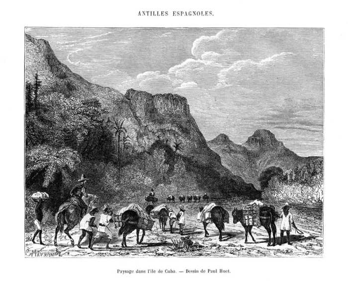 Framed Print : Landscape in the island of Cuba, 19th century. Artist: Paul Huet Framed Print : Landscape in the island of Cuba, 19th century. Artist: Paul Huet