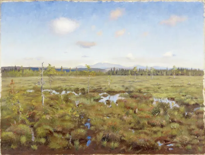 Framed Print : Landscape from Lapland, 1892. Creator: Torsten Wasastjerna Framed Print : Landscape from Lapland, 1892. Creator: Torsten Wasastjerna