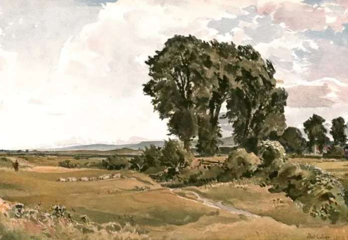 Framed Print : Landscape, near Wareham, Dorset - an Outdoor Sketch, (c1900). Creator: Unknown Framed Print : Landscape, near Wareham, Dorset - an Outdoor Sketch, (c1900). Creator: Unknown