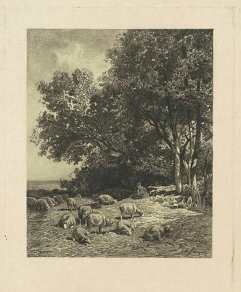 Landscape with Sheep, 1879. Creator: James David Smillie
