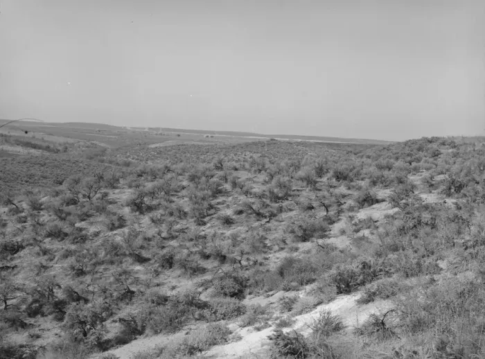 Framed Print : Landscape showing raw land, Nyssa Heights, Malheur County, Oregon, 1939. Creator: Dorothea Lange Framed Print : Landscape showing raw land, Nyssa Heights, Malheur County, Oregon, 1939. Creator: Dorothea Lange