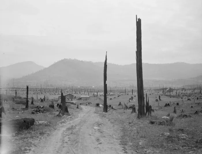 Framed Print : Landscape: stumps, sags, and stump farm in Priest River Valley, Bonner County, Idaho, 1939. Creator: Dorothea Lange