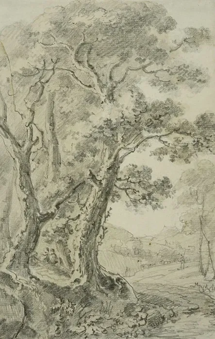 Framed Print : Landscape with tall trees in the foreground, unknown date. Creator: Anon Framed Print : Landscape with tall trees in the foreground, unknown date. Creator: Anon