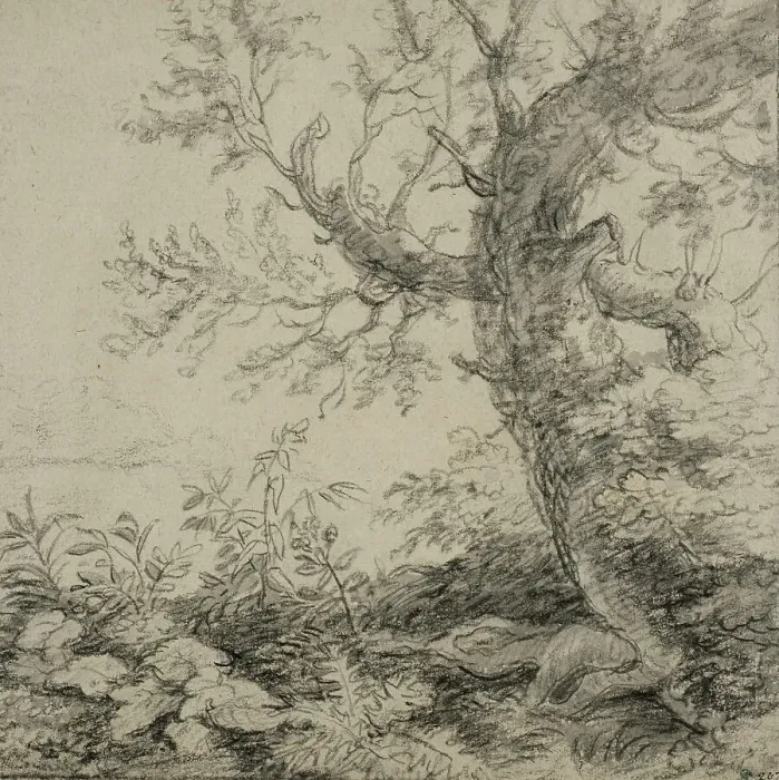 Framed Print : Landscape with a tree, ca 1630-1690. Creator: Anthonie Waterloo Framed Print : Landscape with a tree, ca 1630-1690. Creator: Anthonie Waterloo