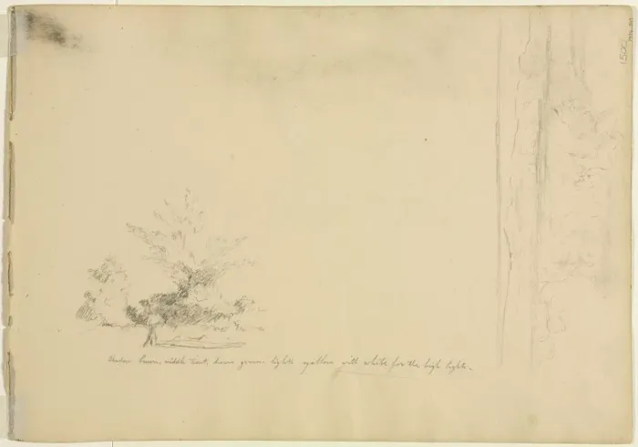Framed Print : Landscape and Tree Studies (verso), c. 1851. Creator: David Johnson (American, 1827-1908) Framed Print : Landscape and Tree Studies (verso), c. 1851. Creator: David Johnson (American, 1827-1908)