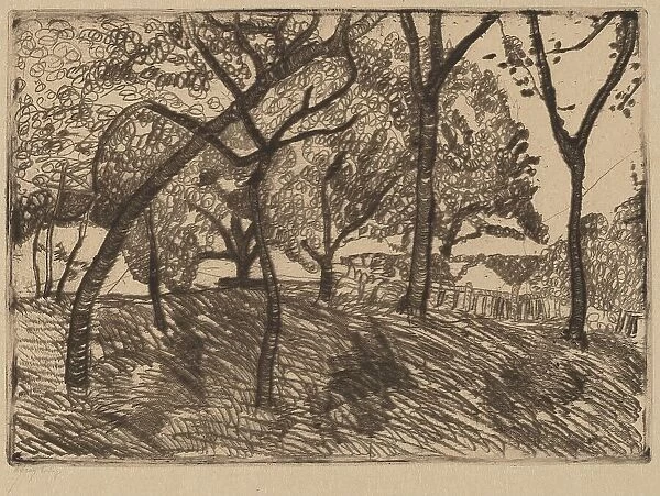Landscape with Trees, c. 1902. Creator: Paula Modersohn-Becker