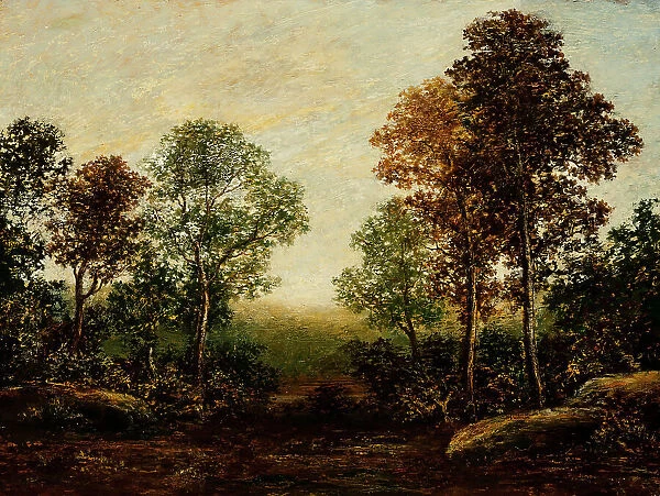 Landscape with Trees (image 1 of 2), between c1883 and c1898. Creator: Ralph Blakelock