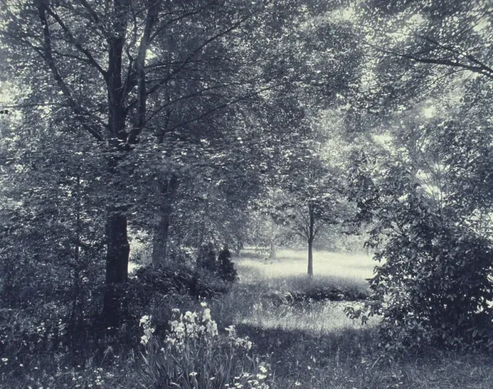 Framed Print : Landscape of trees and meadow with irises in foreground, c1900. Creator: Unknown