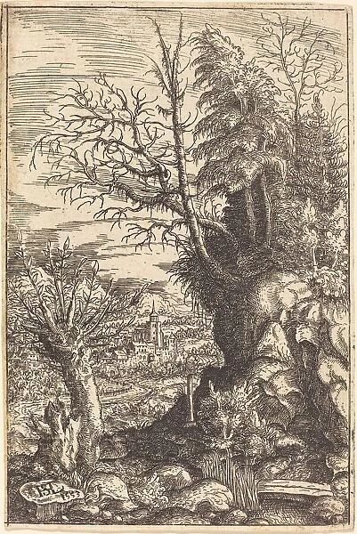Landscape with a Willow, 1553. Creator: Hans Sebald Lautensack