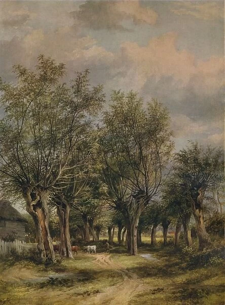 A Lane near Norwich, c1837. Artist: James Stark