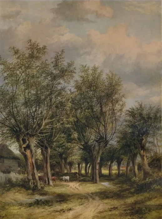 Framed Print : A Lane near Norwich, c1837. Artist: James Stark Framed Print : A Lane near Norwich, c1837. Artist: James Stark