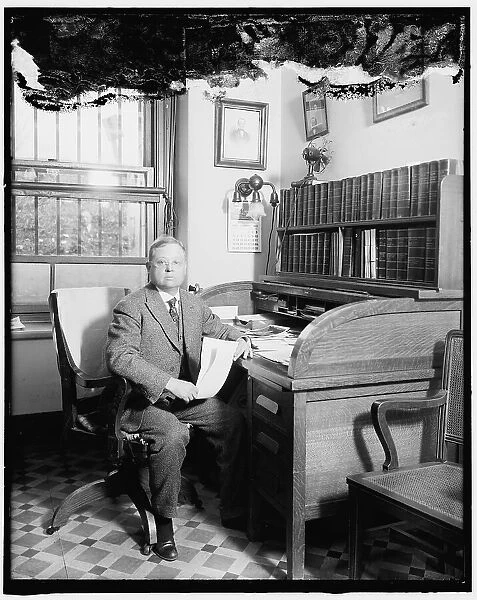 Langworthy, Chief of Home Economics Section, 1920. Creator: Harris & Ewing. Langworthy, Chief of Home Economics Section, 1920. Creator: Harris & Ewing