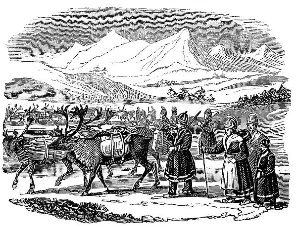 Lapps setting out on a migration with reindeer, Lapland, 1840