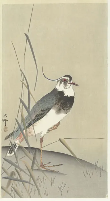 Framed Print : Lapwing and reed. Creator: Ohara, Koson (1877-1945) Framed Print : Lapwing and reed. Creator: Ohara, Koson (1877-1945)
