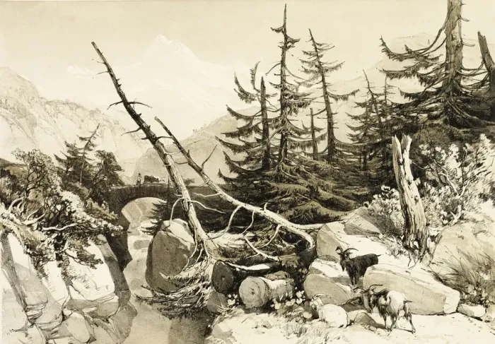 Framed Print : Larch, from The Park and the Forest, 1841. Creator: James Duffield Harding Framed Print : Larch, from The Park and the Forest, 1841. Creator: James Duffield Harding
