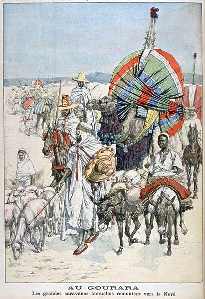 The large annual caravans heading north, Gourara, Algeria, 1903