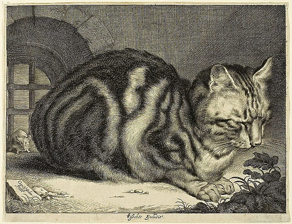 The Large Cat, 1657. Creator: Cornelis de Visscher