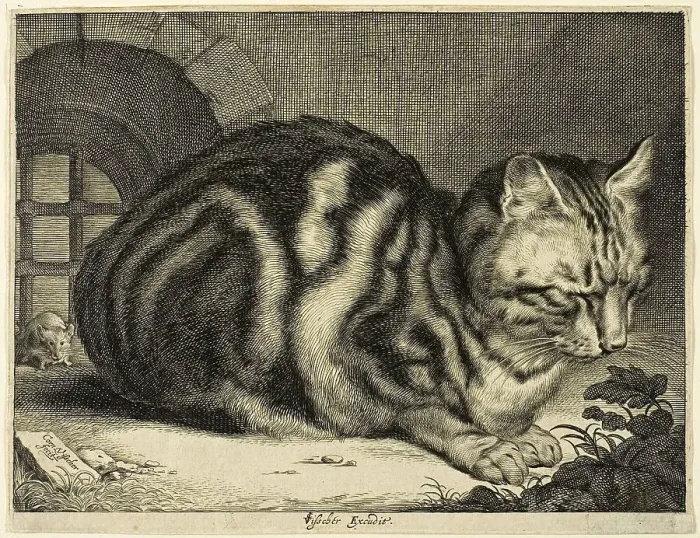 Framed Print : The Large Cat, 1657. Creator: Cornelis de Visscher