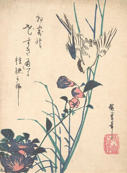 Large-flowered Flat Bill and Sparrow, ca. 1833. ca. 1833. Creator: Ando Hiroshige