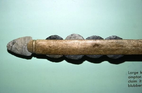 Large Knife from grave at Southampton Island, for cutting whale-blubber, Inuit