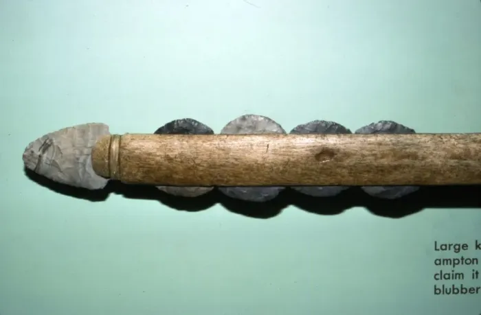 Framed Print : Large Knife from grave at Southampton Island, for cutting whale-blubber, Inuit Framed Print : Large Knife from grave at Southampton Island, for cutting whale-blubber, Inuit