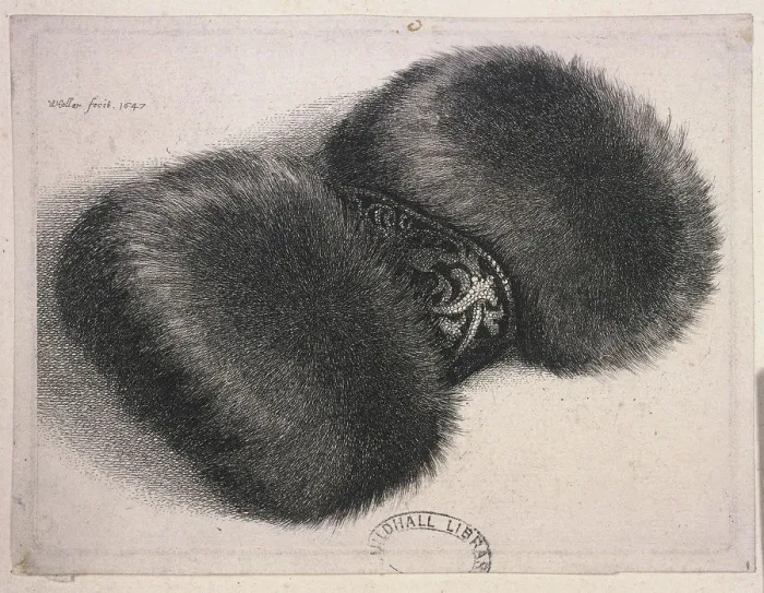 Framed Print : A large muff with a band of brocade, 1647. Artist: Wenceslaus Hollar