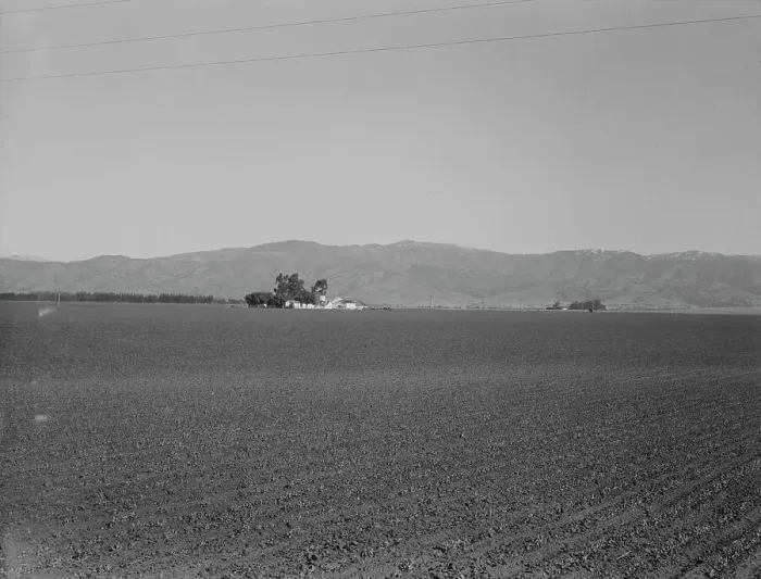 Framed Print : Large-scale agriculture (peas) and old style California ranch house, near King City, CA, 1939. Creator: Dorothea Lange Framed Print : Large-scale agriculture (peas) and old style California ranch house, near King City, CA, 1939. Creator: Dorothea Lange